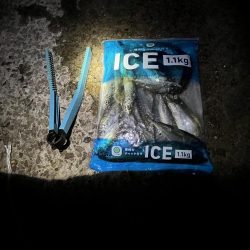 サビキまだまだ行けそう