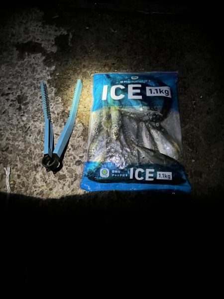 サビキまだまだ行けそう