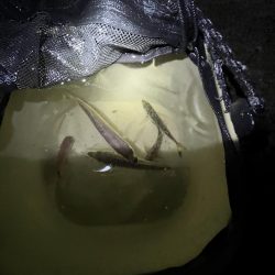 冬の時期スタート！