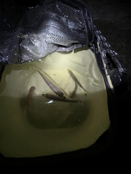 冬の時期スタート！