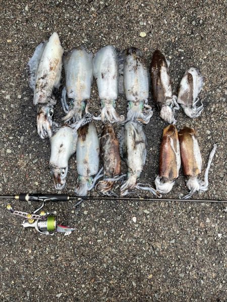 エギング 佐渡遠征⑦