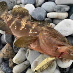 砂利浜スプーニング