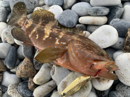 砂利浜スプーニング