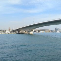 東二見北水路のキス調査