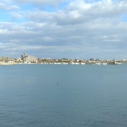 落ちギスが釣れ初めました