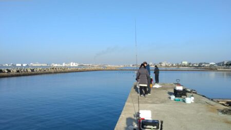 魚住漁港の落ちギス調査