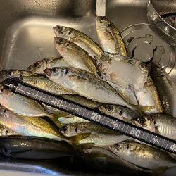 雨の前アジング