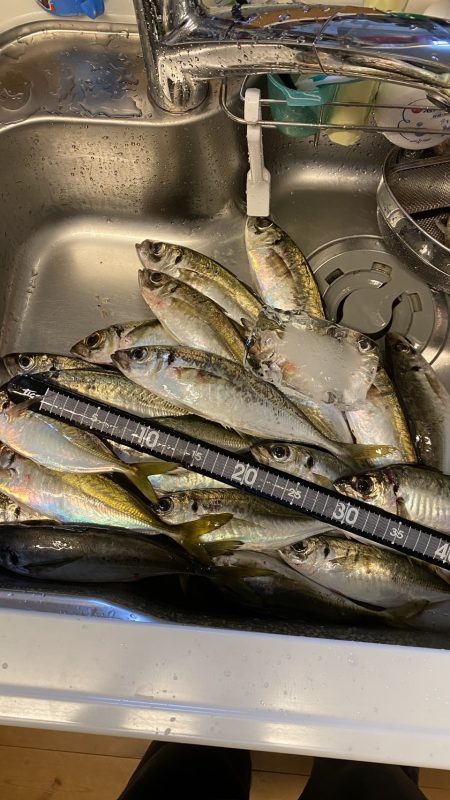 雨の前アジング