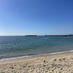 江井ヶ島キス到来