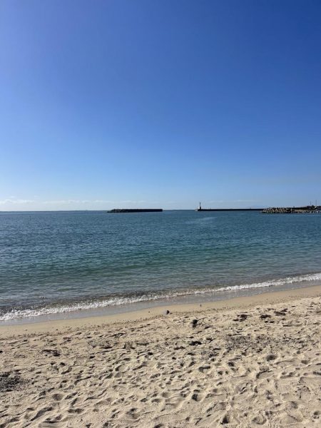 江井ヶ島キス到来