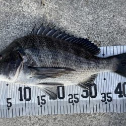 イチノ兄弟、釣果！