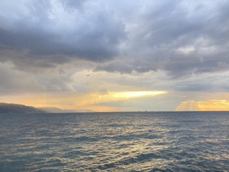 良型グレ入れ食い！