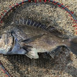 イチノ兄弟、釣果！