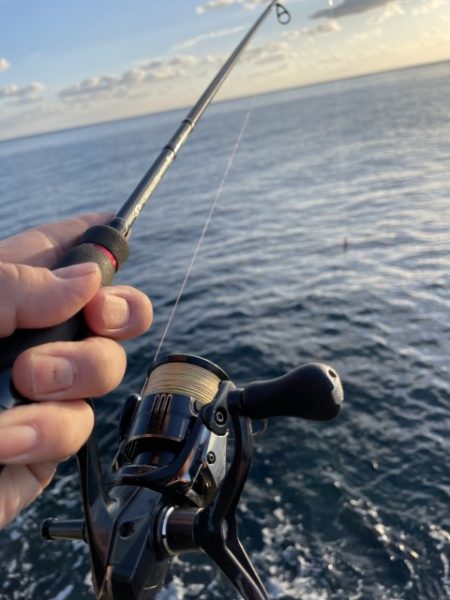 2025 佐渡ヶ島エギング Vol.44【11月2日】