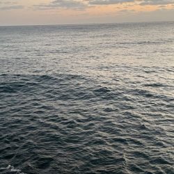 2025 佐渡ヶ島エギング Vol.45【11月4日】