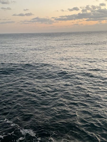 2025 佐渡ヶ島エギング Vol.45【11月4日】