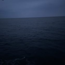 2025 佐渡ヶ島エギング Vol.50【11月9日】