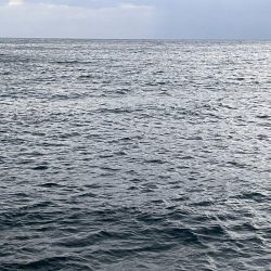 2025 佐渡ヶ島エギング Vol.51【11月11日】