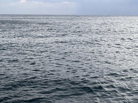 2025 佐渡ヶ島エギング Vol.51【11月11日】