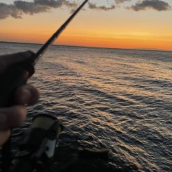 2025 佐渡ヶ島エギング Vol.56【11月17日】