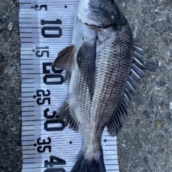 イチノ兄弟、釣果！