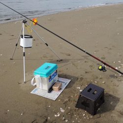 落ちギス釣り　群れは小さい