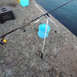 良型アジは釣れず