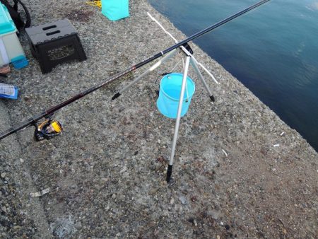 良型アジは釣れず