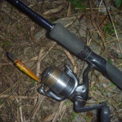 一庫ダム釣行　11月17日