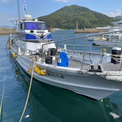 ティップラン楽しい