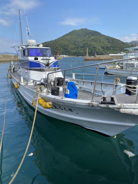 ティップラン楽しい