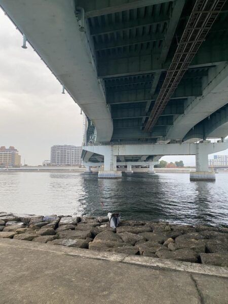 西宮浜西護岸チヌ、キビレ等
