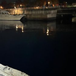 神戸沖キャスティング