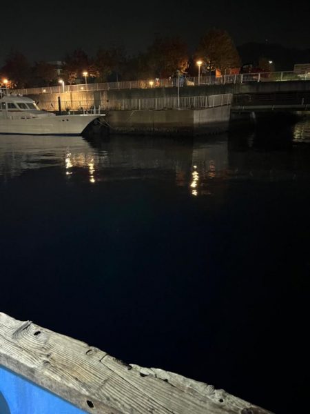 神戸沖キャスティング