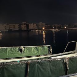 サゴシぼちぼち