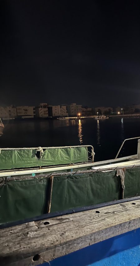 サゴシぼちぼち