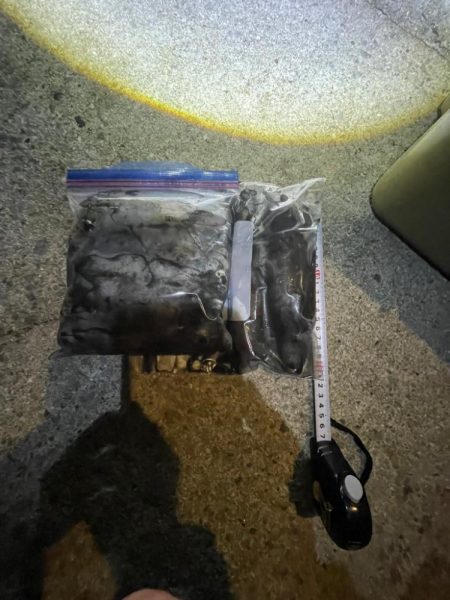 エギング好調でした！