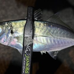 アドレナリン出た〜！