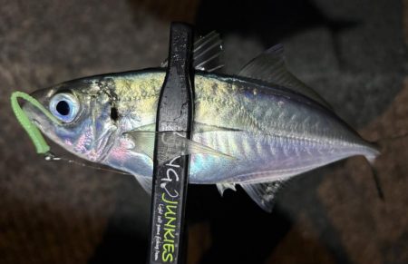 アドレナリン出た〜！