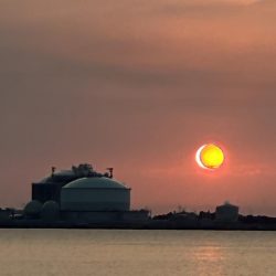 そろそろハマちゃんが釣りたい・・・