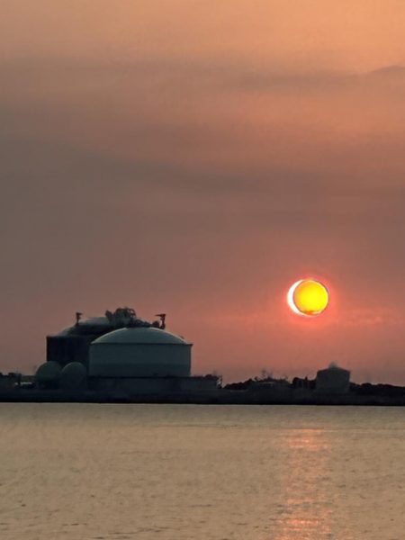 そろそろハマちゃんが釣りたい・・・