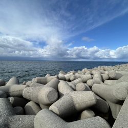 魚津港 フカセ釣り