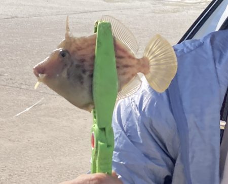 旅先ちょこっとライトゲーム