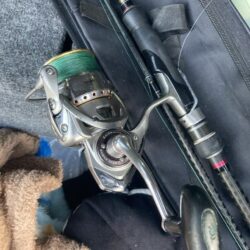 朝マズメのフロートリグでアジGET