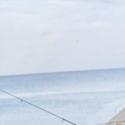 夕まずめの飲ませ