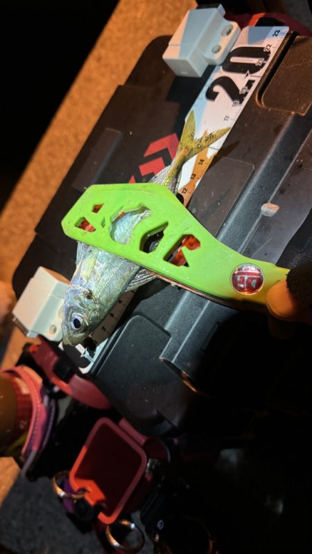 久しぶりの釣行