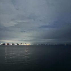 渋いもなんとか1匹