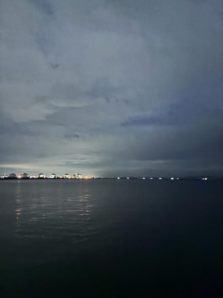 渋いもなんとか1匹