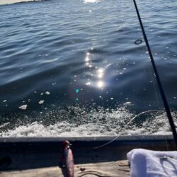 神戸キャスティング