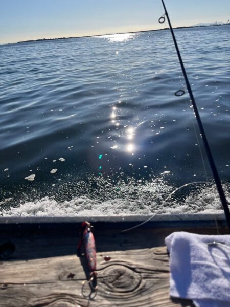 神戸キャスティング